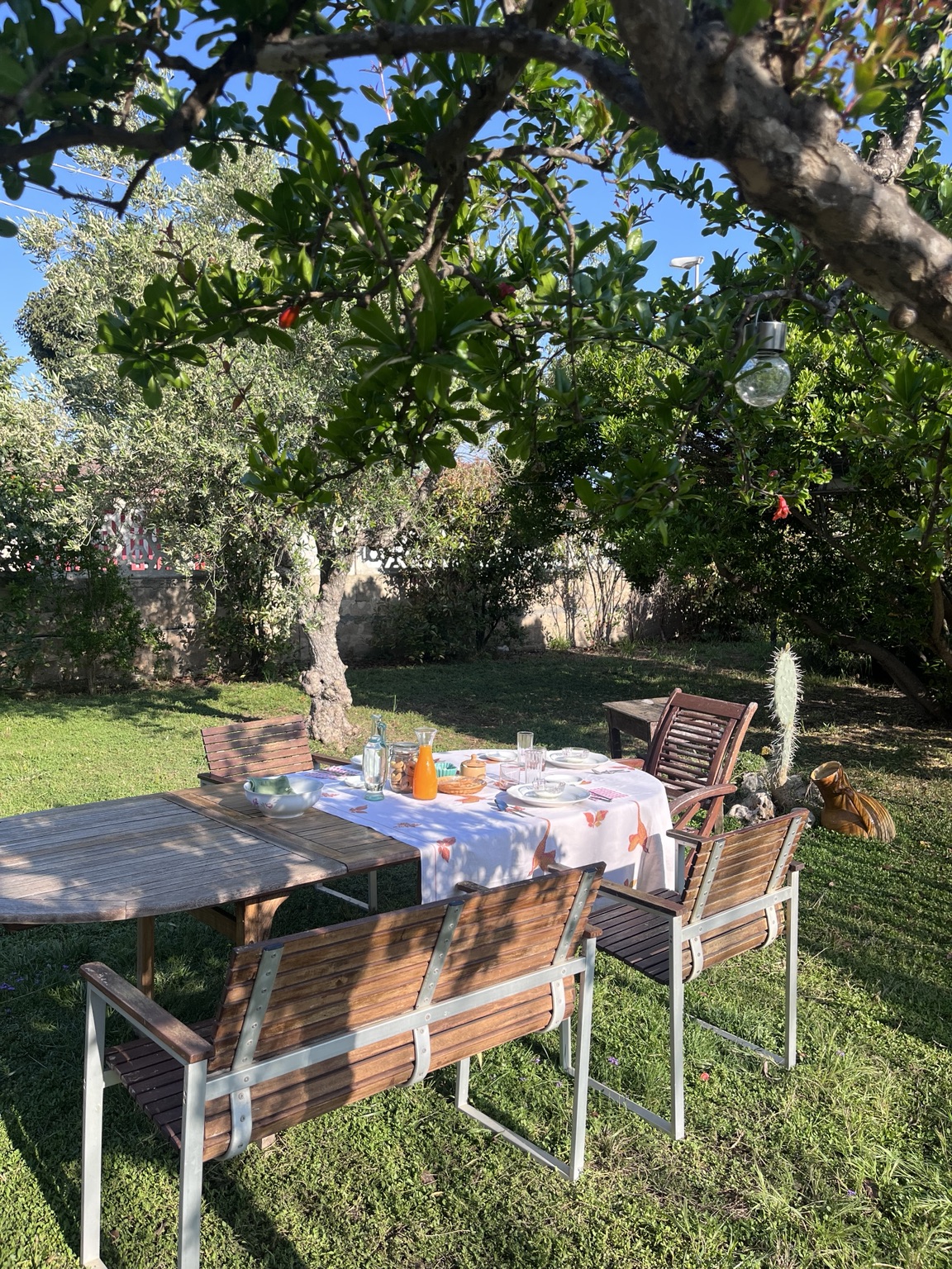 Tavola preparata in giardino